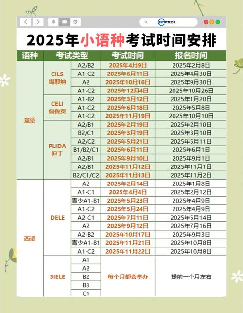 2025小学教育考什么？重点在哪？-图1