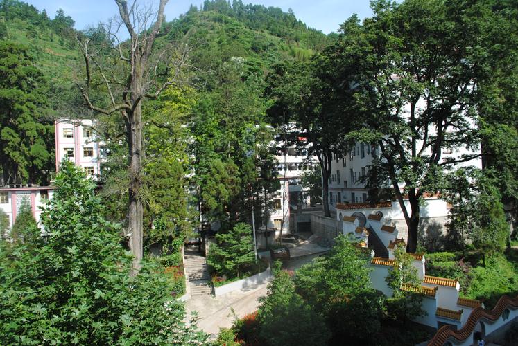 盘县最好的高中是哪所？-图1