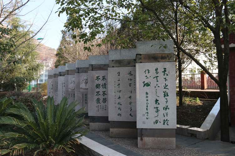 盘县最好的高中是哪所？-图2