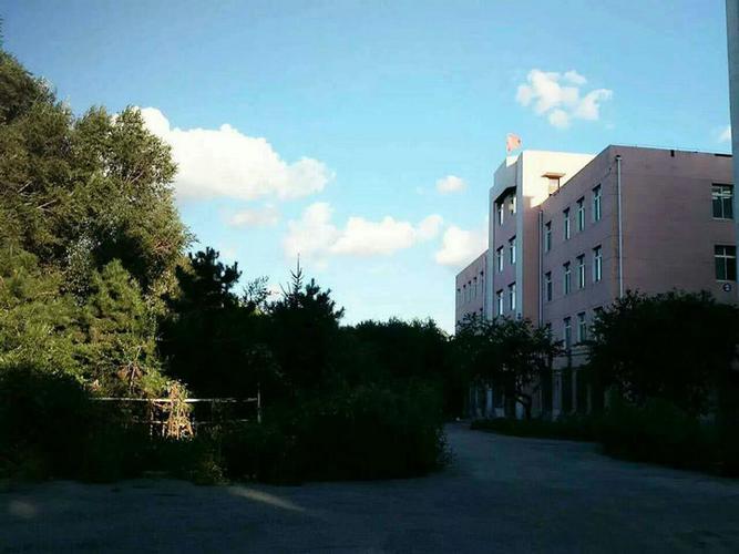 沈阳幼师专业学校有哪些值得推荐?-图3 沈阳幼师专业学校有哪些值得推荐?-图3