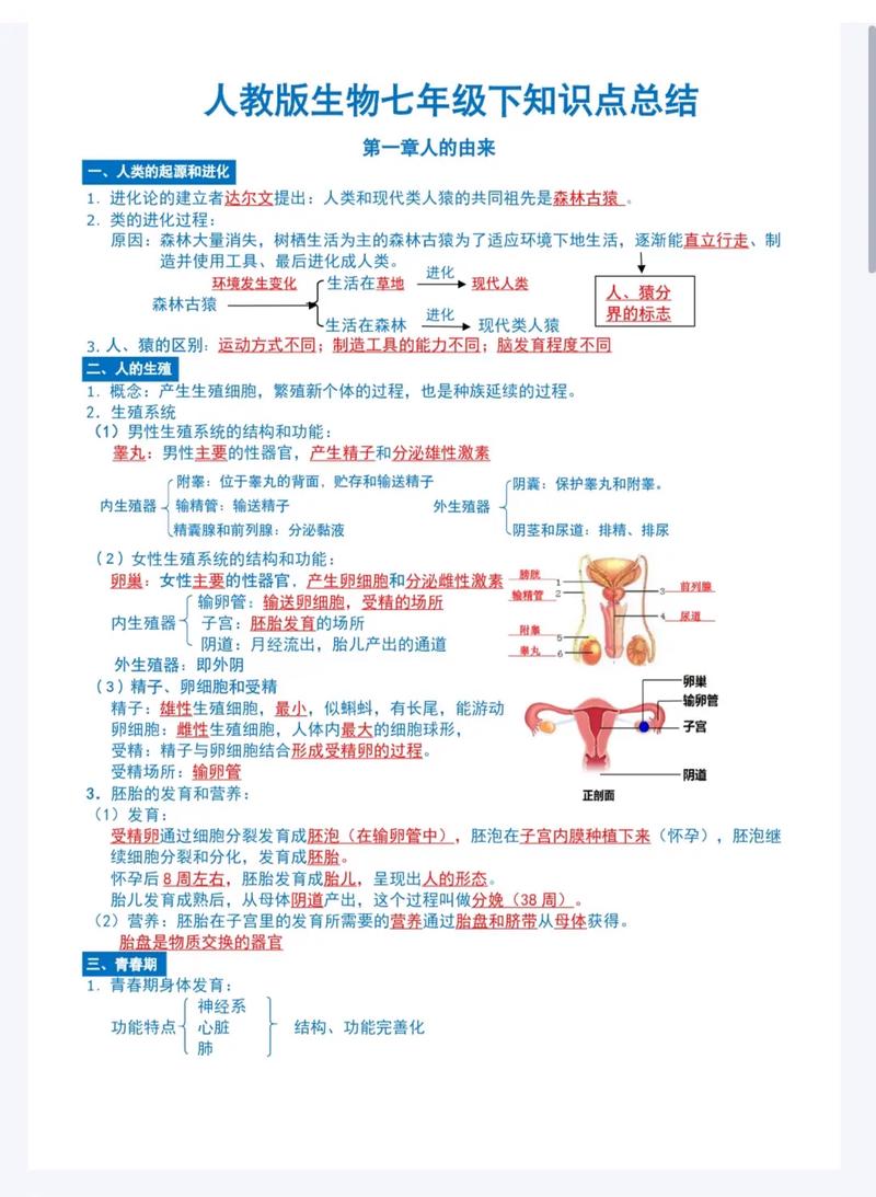 初中生物教资考试内容有哪些?-图3 初中生物教资考试内容有哪些?-图3
