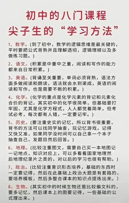 初中女生学文秘，合适吗？-图3