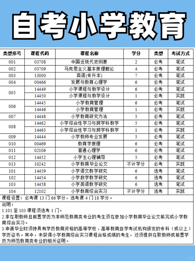 自考小学教育，如何高效备考拿证？-图1