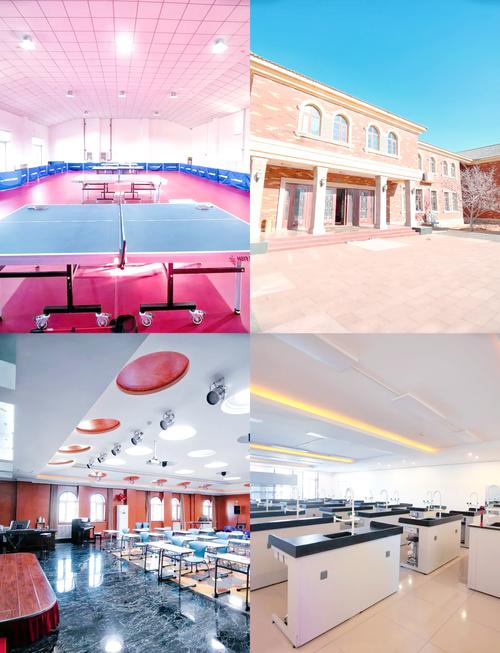 北京青苗国际学校初中部有何特色？-图1