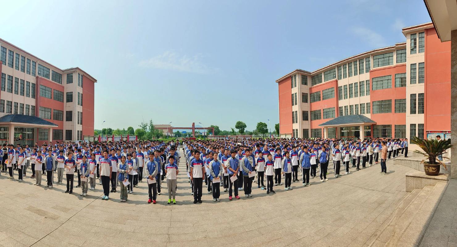 南京晨曦教育初中生如何提升学习效率？-图3