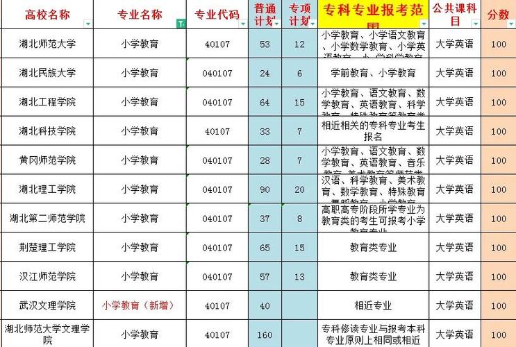 专科小学教育专业代码是多少？-图2