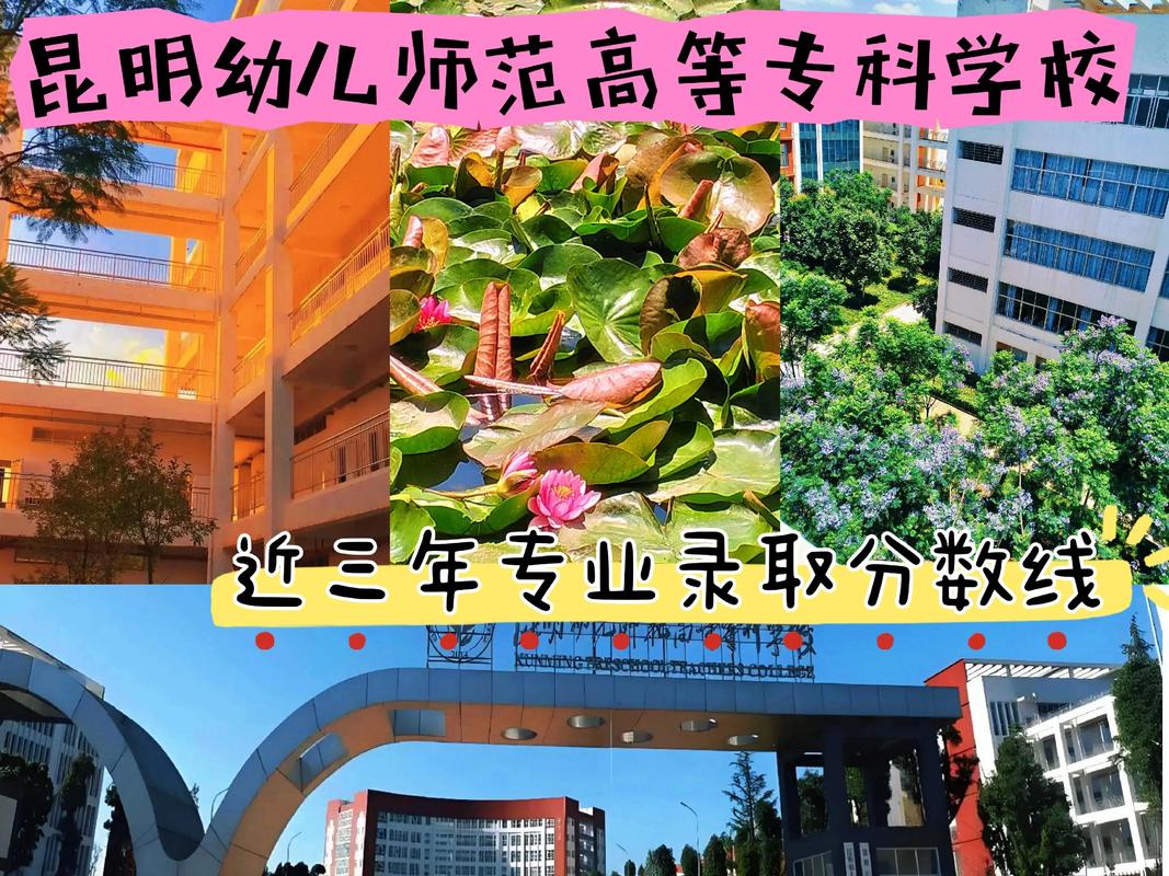 大专幼师能进民办学校吗？-图1