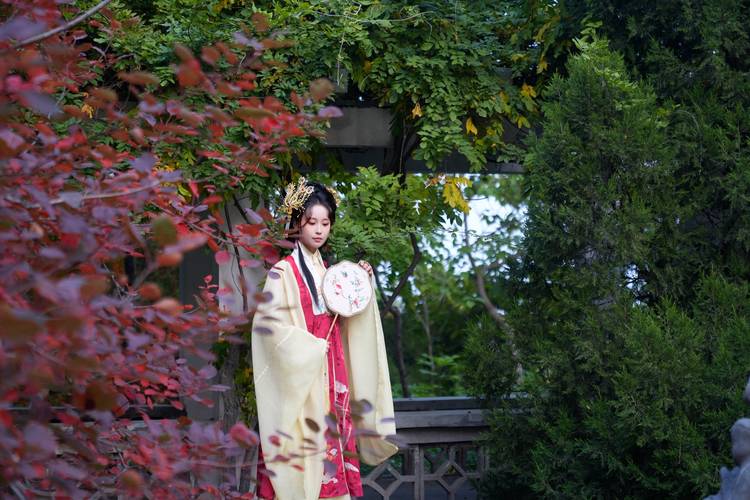 高中毕业还能怎么进修-图3