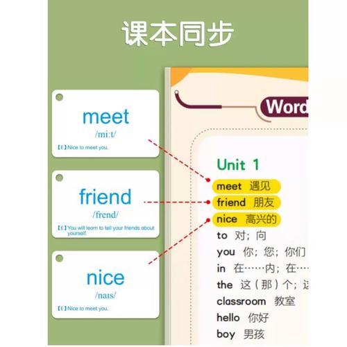 2025年小学英语福建-图1 2025年小学英语福建-图1