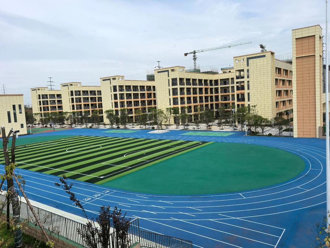 阜阳市幼师学院建设工程-图2