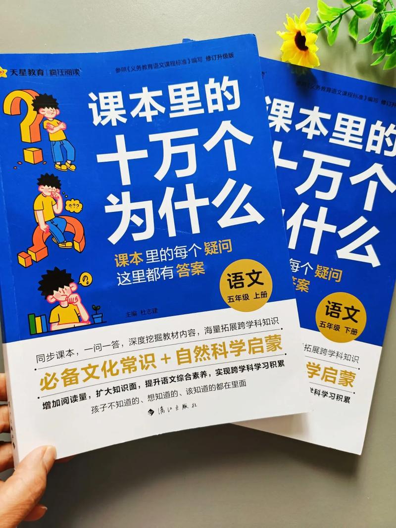 Y040107小学教育-图1 Y040107小学教育-图1