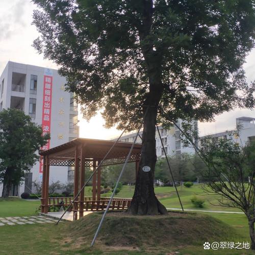 广东幼师专业 大专学校-图1 广东幼师专业 大专学校-图1