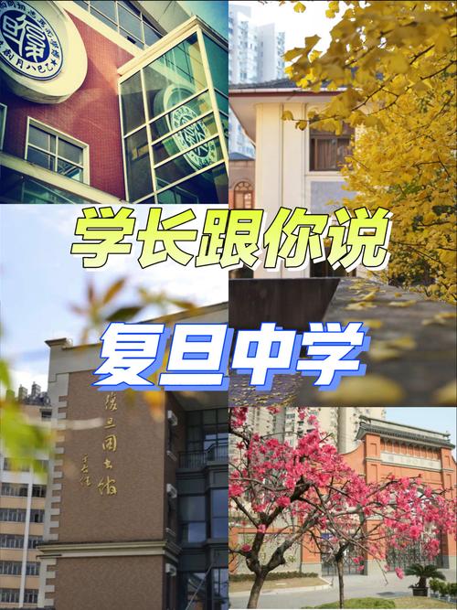 重庆复旦中学有高中吗-图1
