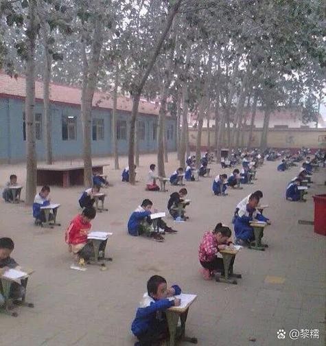 长沙赤岗冲小学2005-图2 长沙赤岗冲小学2005-图2