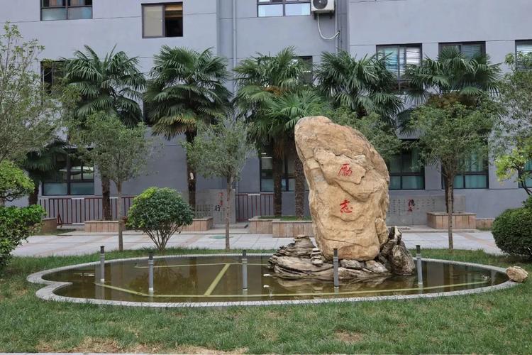 南京后宰门附近有哪些小学？-图1