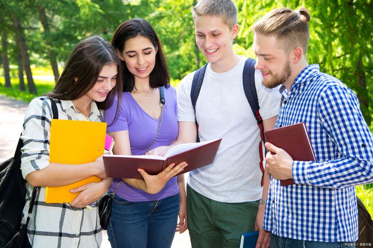 高中没上完想出国留学-图2