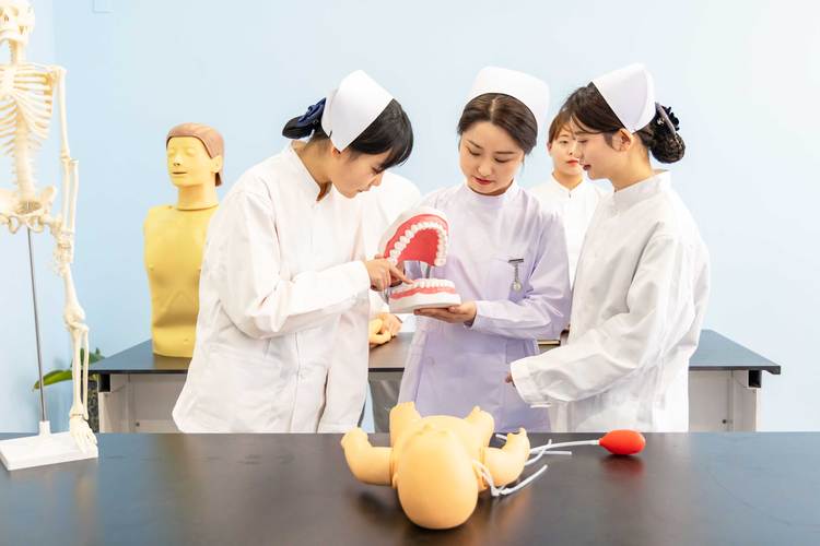 新东方烹饪学校幼师培训-图2 新东方烹饪学校幼师培训-图2