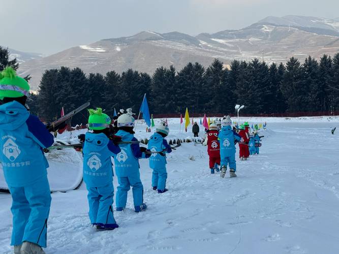 北京中小学生网上冬令营-图1