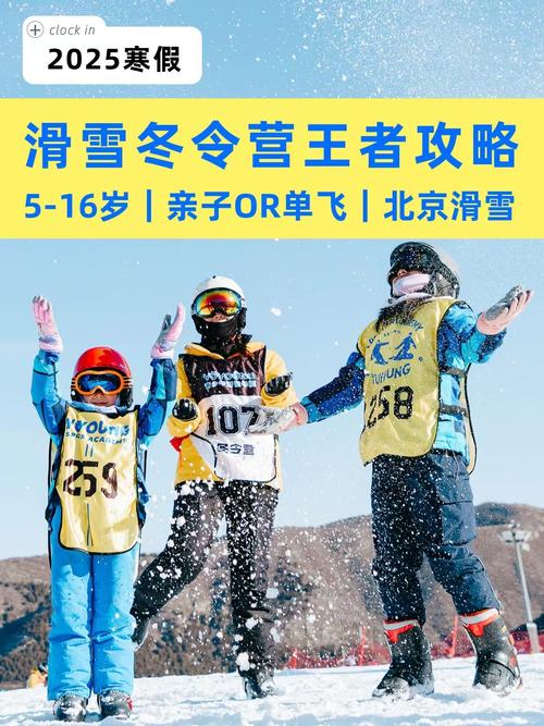 北京中小学生网上冬令营-图2