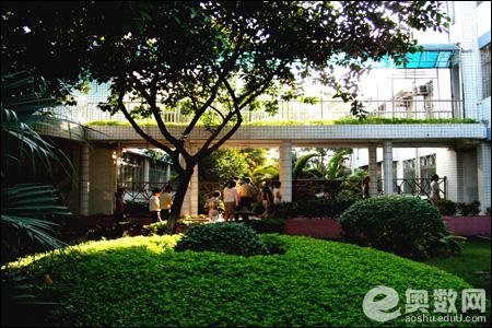 深圳罗湖笋岗中学高中-图3 深圳罗湖笋岗中学高中-图3