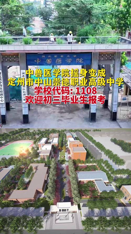 长春初中毕业学校代码怎么查？-图3