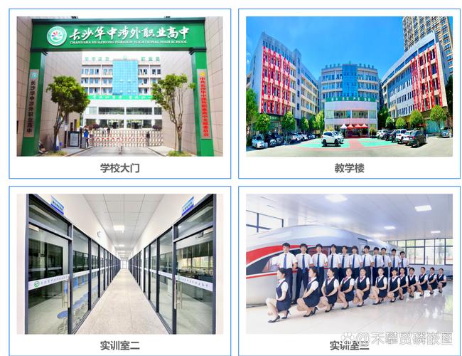 初中毕业后,该选职业学校还是普高?-图1 初中毕业后,该选职业学校还是普高?-图1