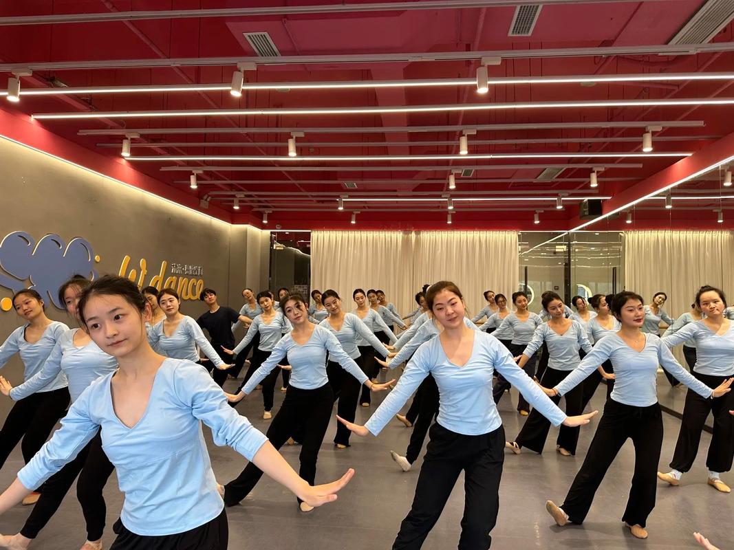 北京高中舞蹈艺考培训哪家好？-图3