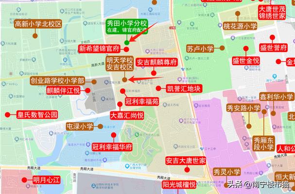 2025年南宁小学地段怎么划分？-图2