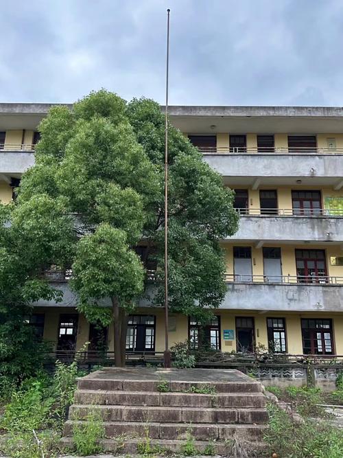 康福国际高中为何被称烂学校？-图2