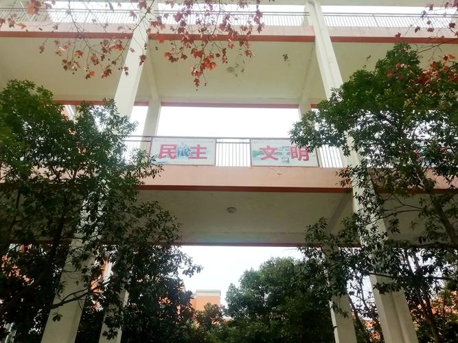 广元幼师学校学宗处电话是多少？-图1