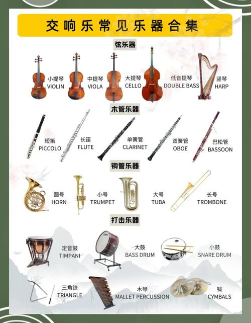 高中学声乐该学哪种乐器?-图1 高中学声乐该学哪种乐器?-图1