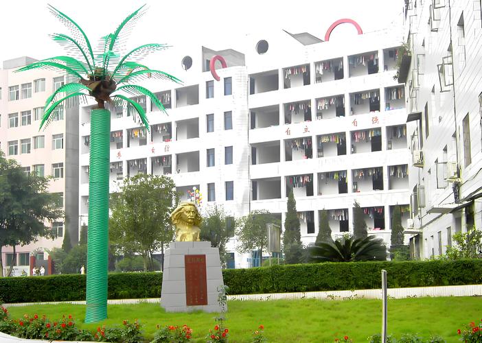 达县职高中学女神相片为何引关注？-图3