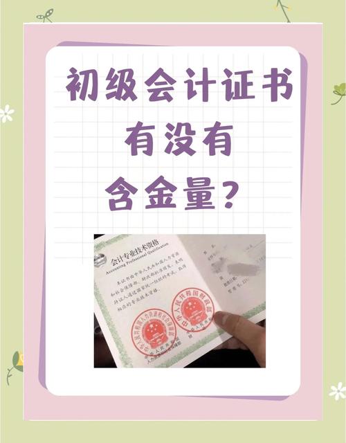 会计初级高中学历作假如何监管？-图2