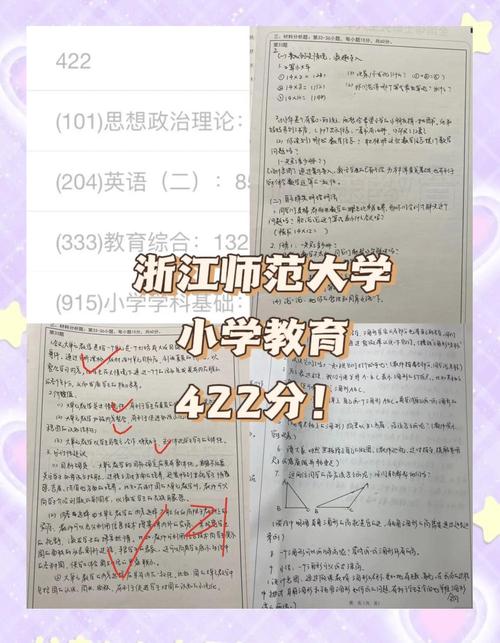 浙江师范大学小学教育有何特色？-图3