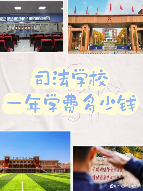 阜阳幼师学校学费多少钱-图2