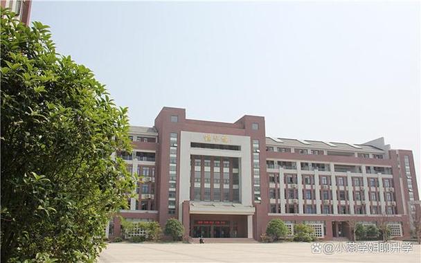 合肥幼师学校有哪些选择？-图3