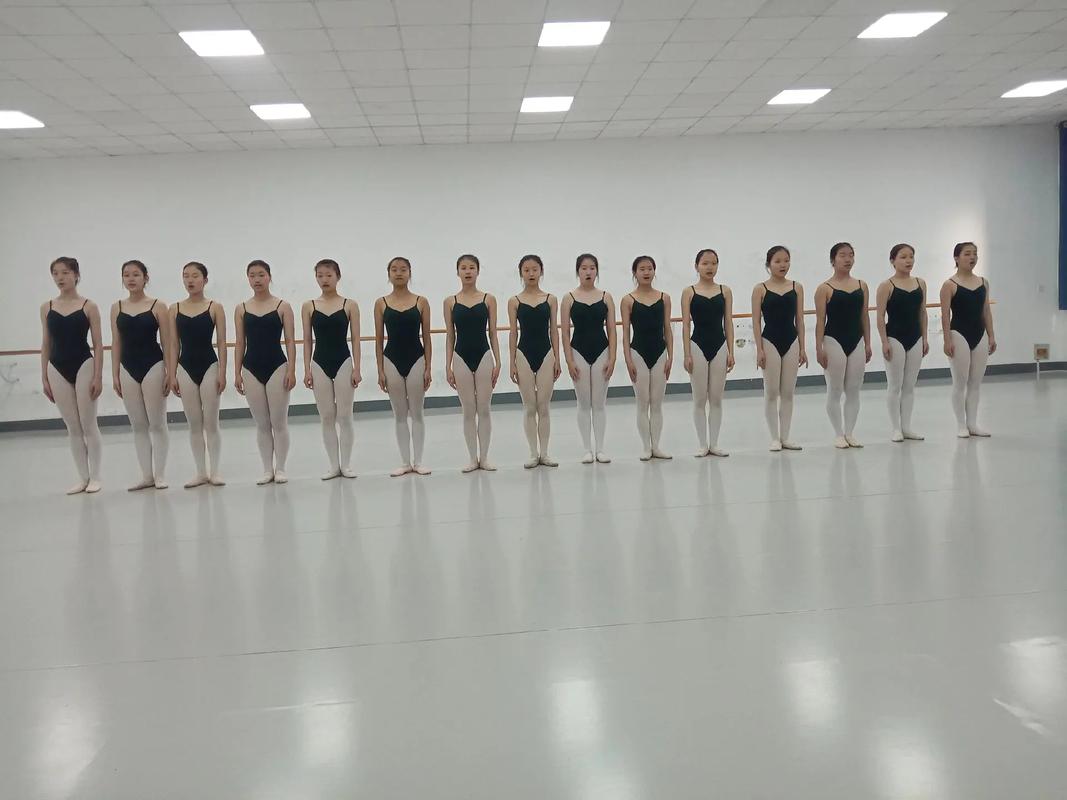 石家庄高中艺考摄影怎么备考？-图3