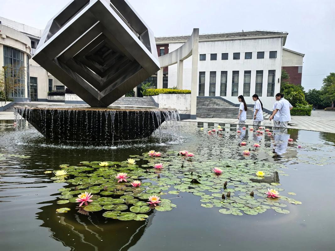 亳州幼师学校报名费具体是多少？-图2