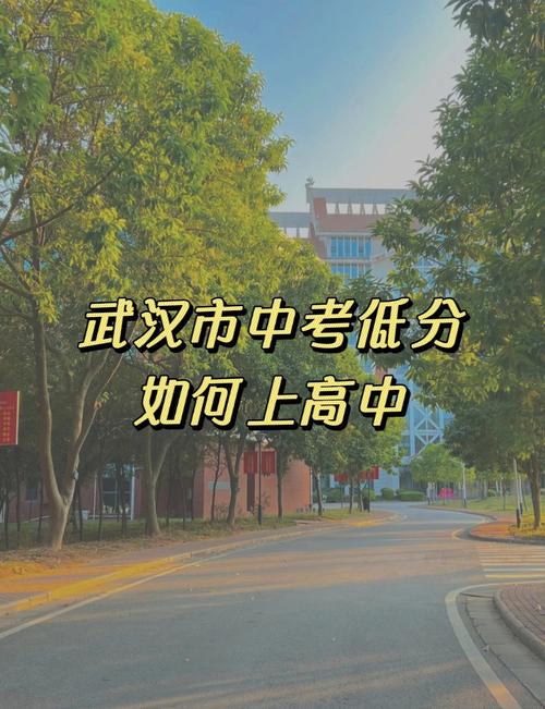 外地生如何武汉读高中？-图2