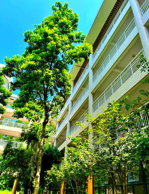 初中毕业 信赖巨美学校-图2