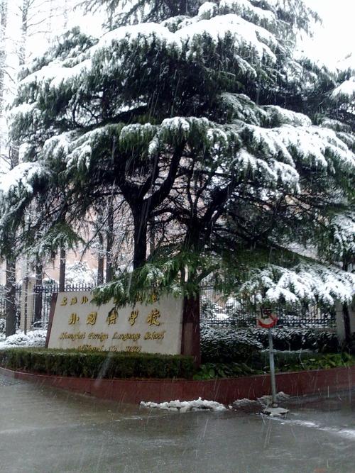 上外附中国际部初中有何特色？-图3