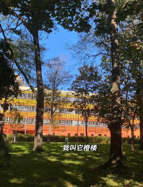 高中毕业去奥地利留学，要准备什么？-图1