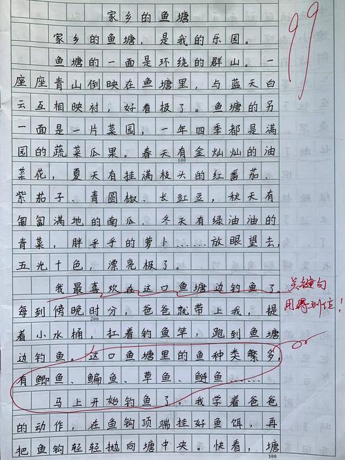 小学四年级语文作文怎么写？-图2