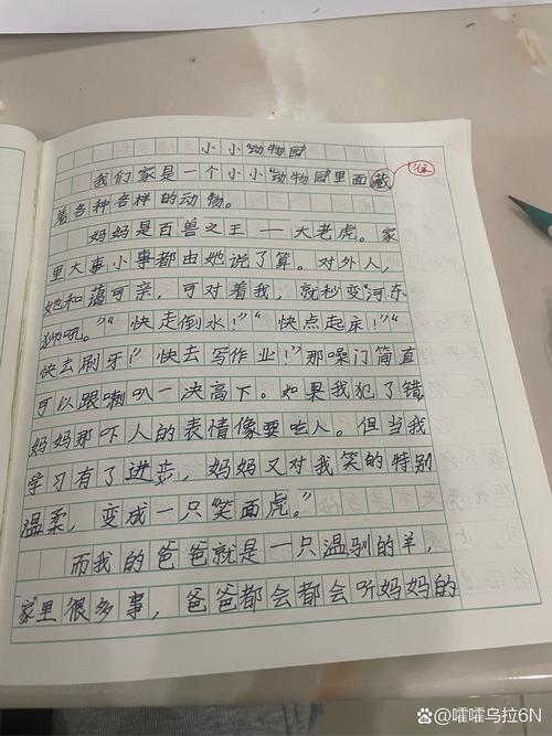 小学四年级语文作文怎么写？-图3