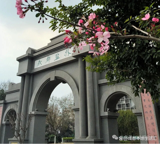 成都不中考的高中有哪些选择？-图3