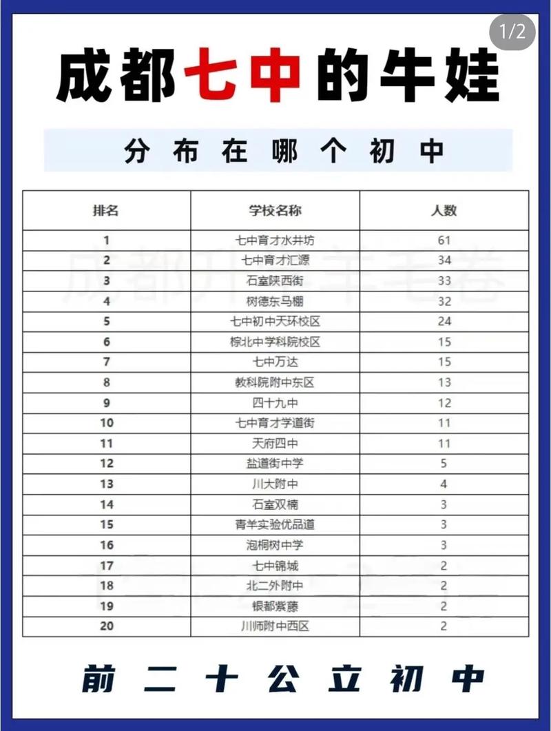 成都中小学培训机构排名-图3