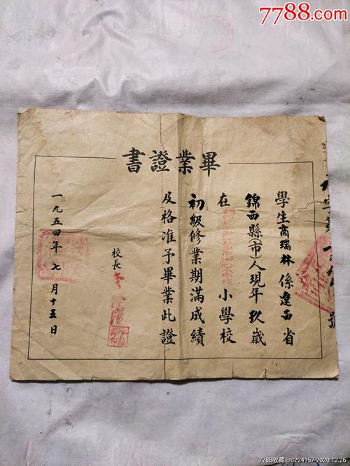 小学没毕业，学会计真的可行吗？-图2