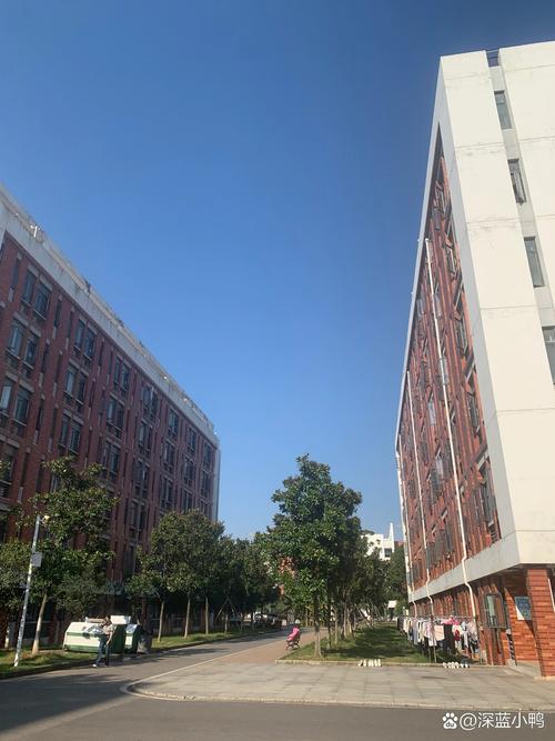 武汉幼师学校有哪些？优质选择有哪些？-图2