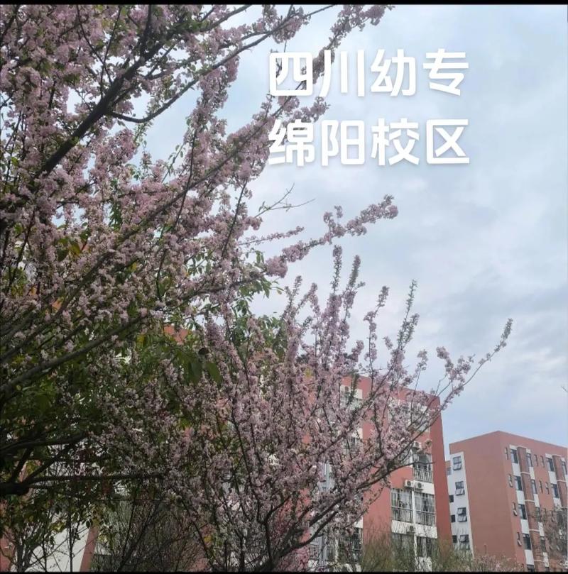 成都最便宜幼师中专学校-图2