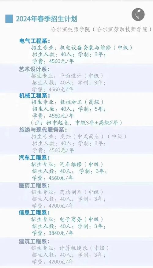 初中毕业自学哪些技能靠谱又实用？-图3